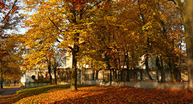 Artykuł 3